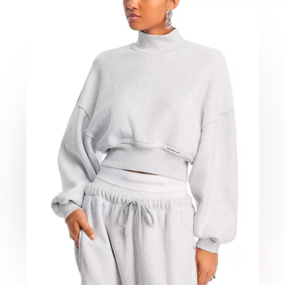 NWT Alexander Wang Cropped Pullover Turtleneck W/ Branded Seam Label, Grey, XS - Picture 3 of 17